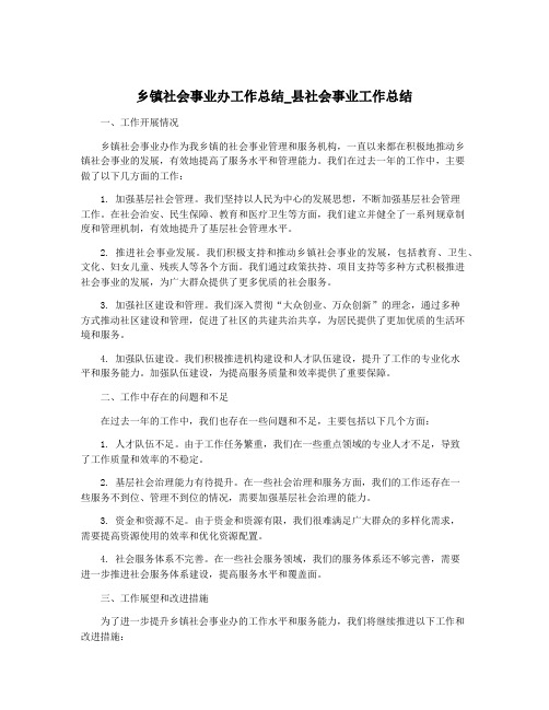 乡镇社会事业办工作总结_县社会事业工作总结