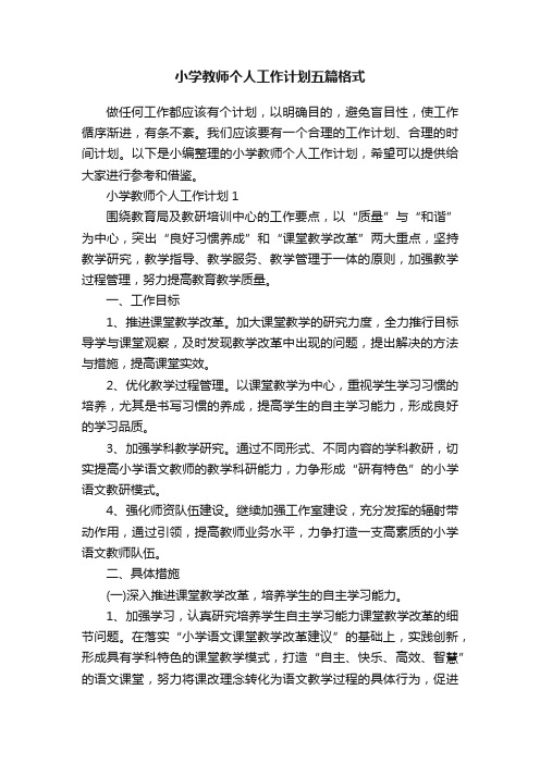 小学教师个人工作计划五篇格式