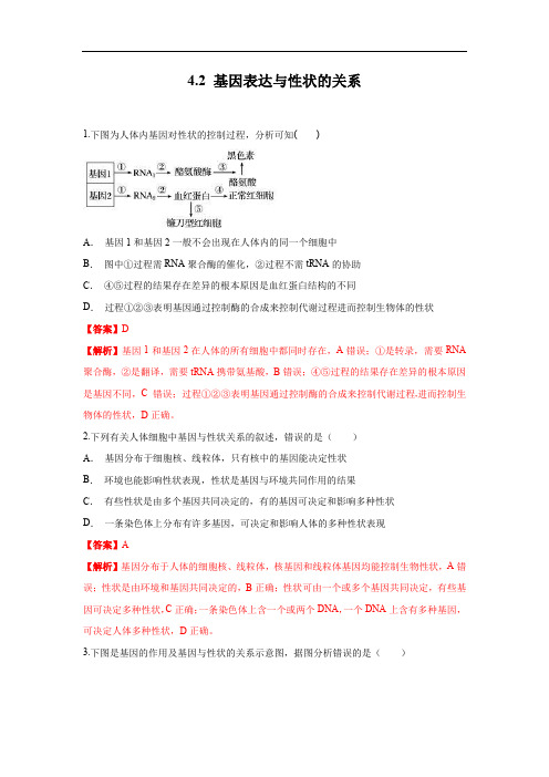 高中生物第二册 4 2 基因表达与性状的关系 练习(含答案)