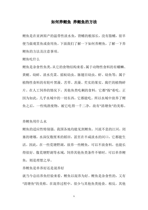 如何养鲤鱼 养鲤鱼的方法