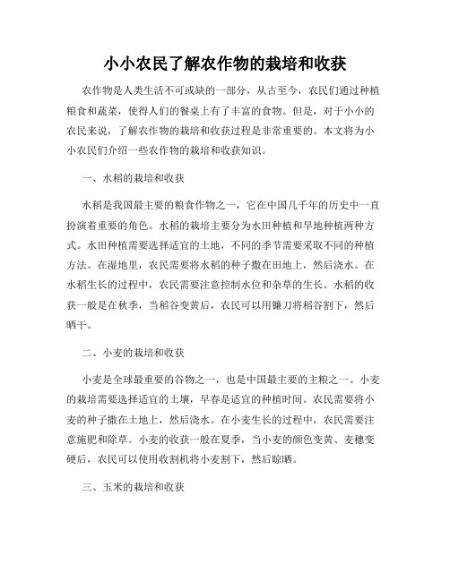 小小农民了解农作物的栽培和收获