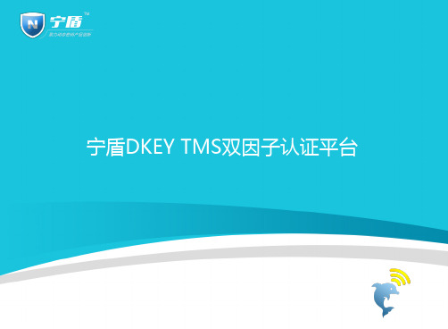 宁盾DKEY双因子认证平台V4.1