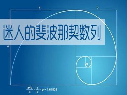 人教A版高中数学必修5《二章 数列  2.1 数列的概念与简单表示法  阅读与思考 斐波那契数列》示范课课件_8