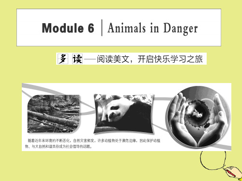 2019_2020学年高中英语Module6AnimalsinDangerSectionⅠIntroduction