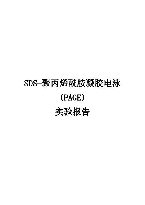 SDS-聚丙烯酰胺凝胶电泳