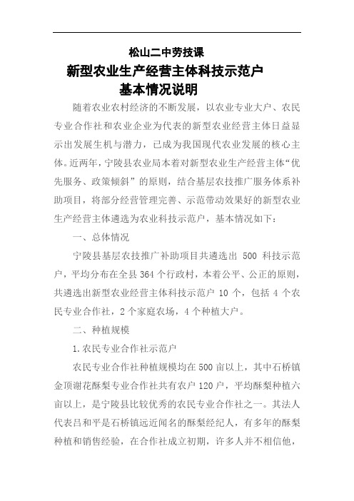 项目六学习材料：新型农业生产大户基本情况 (1)