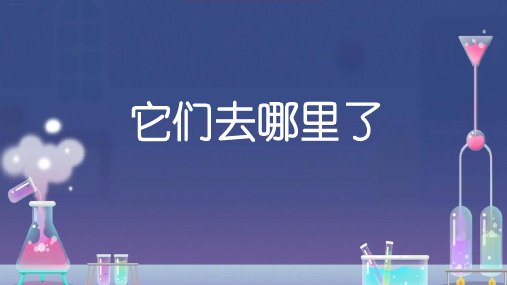 一年级下册科学课件1.6 它们去哪里了 教科版 (共17张PPT)