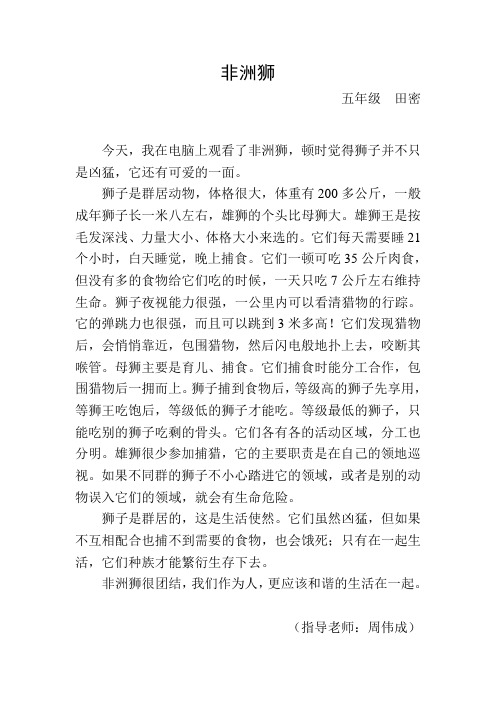 我所了解的非洲狮