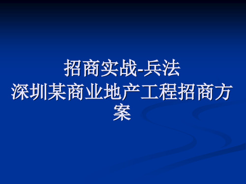 商业地产项目招商经典案例分析