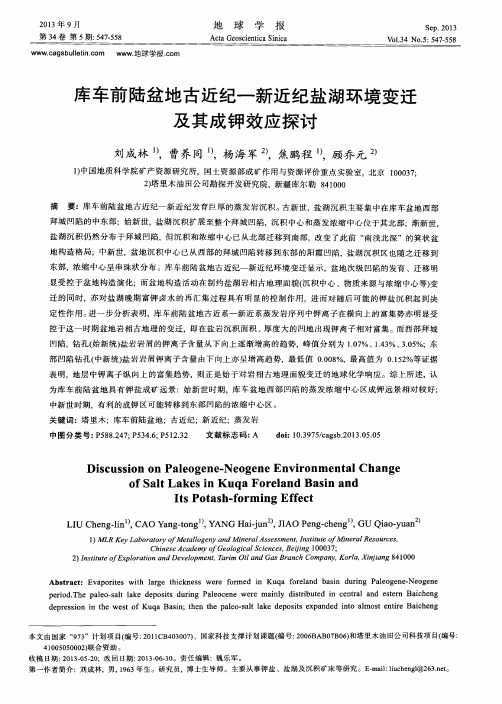 库车前陆盆地古近纪一新近纪盐湖环境变迁及其成钾效应探讨