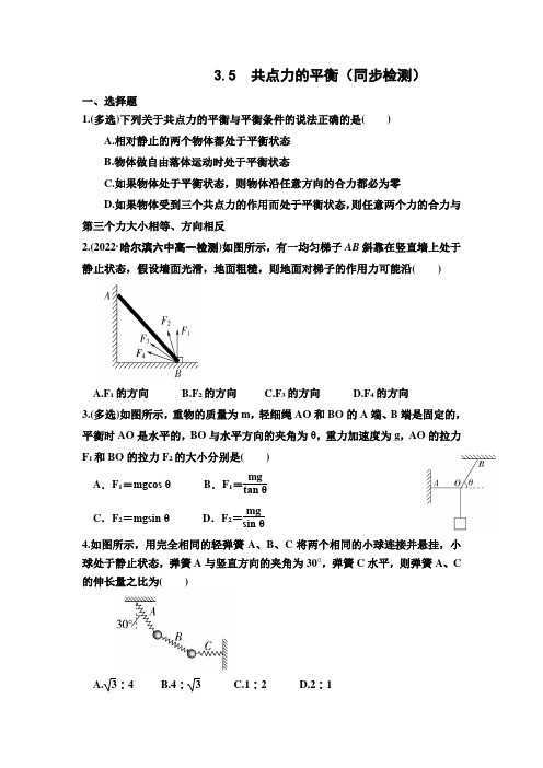 共点力的平衡 同步练习(解析版) (35)