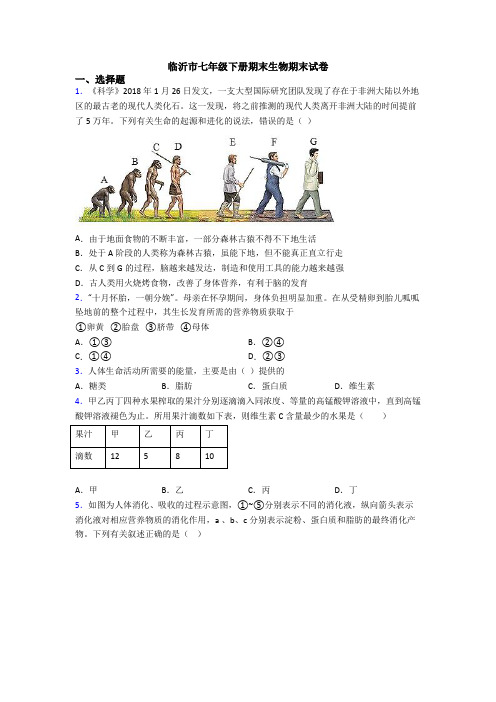 临沂市七年级下册期末生物期末试卷