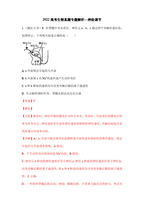 2022高考生物真题专题解析—神经调节(含答案解析)