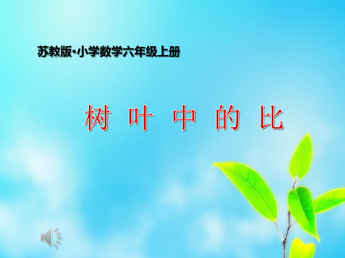 树叶中的比PPT课件