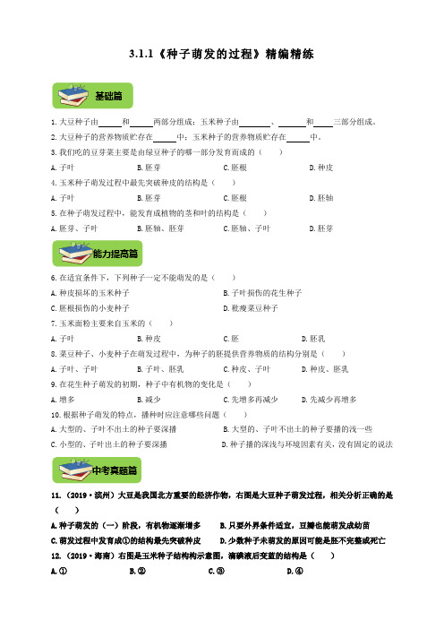 冀少版八年级上册生物3.1.1《种子萌发的过程》同步练习(含答案)