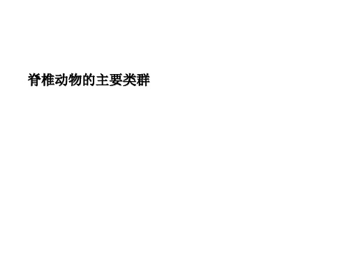 济南版生物七年级上册..《脊椎动物的主要类群》课件