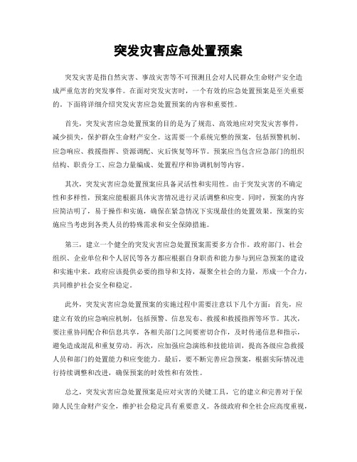 突发灾害应急处置预案