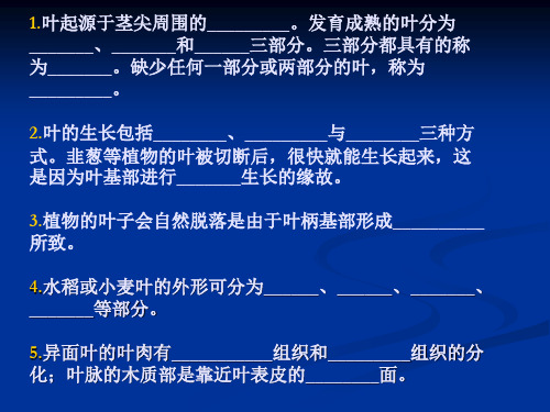 《植物学》课件 第6章 营养器官之间的联系及其变态