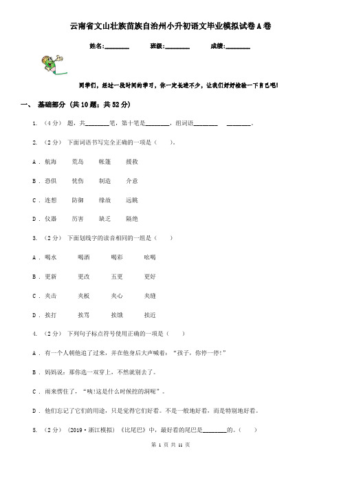 云南省文山壮族苗族自治州小升初语文毕业模拟试卷A卷