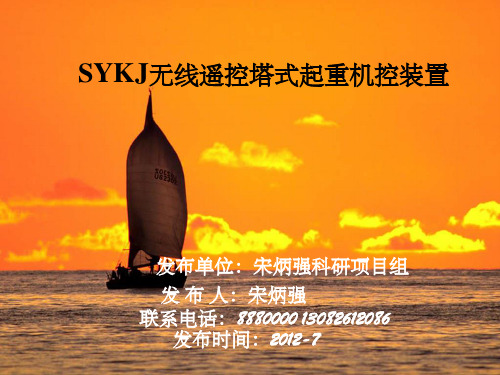 sykj无线遥控塔式起重机装置