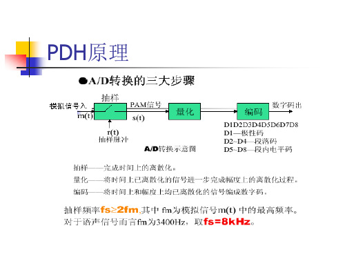 PDH介绍