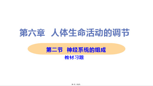 新人教版七年级下册初中生物 第二节 神经系统的组成 教材习题课件