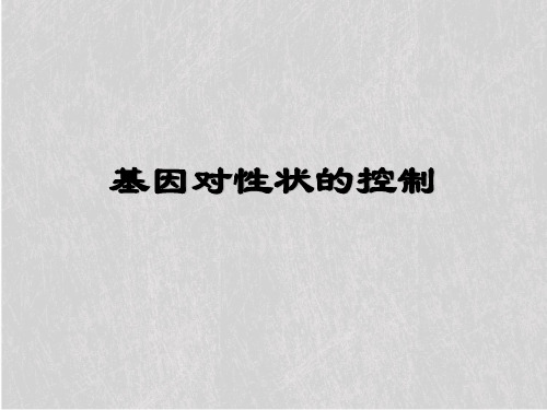 人教版高中生物必修二第4章第2节《基因对性状的控制》课件(共41张PPT)