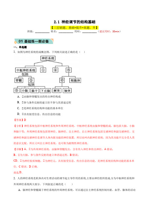 2.1神经调节的结构基础(分层作业)