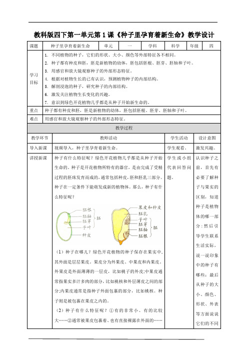 教科版(新)小学四年级科学下册《种子里孕育着新生命》精品教案