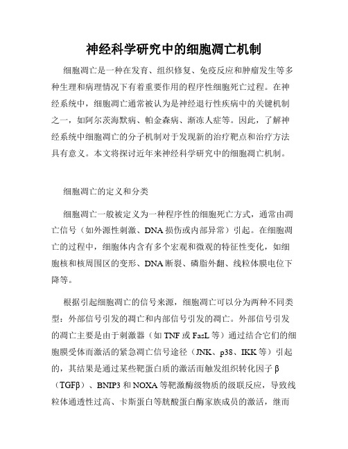 神经科学研究中的细胞凋亡机制