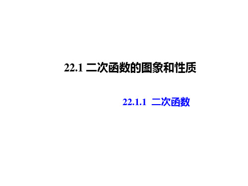 人教版九年级数学上册22.1.1二次函数新课课件(共21页)