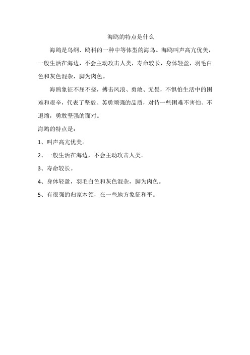海鸥的特点是什么