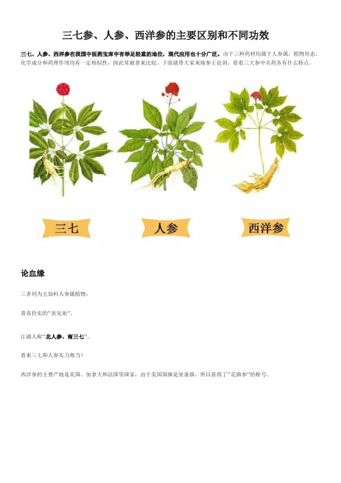 三七参、人参、西洋参的主要区别和不同功效