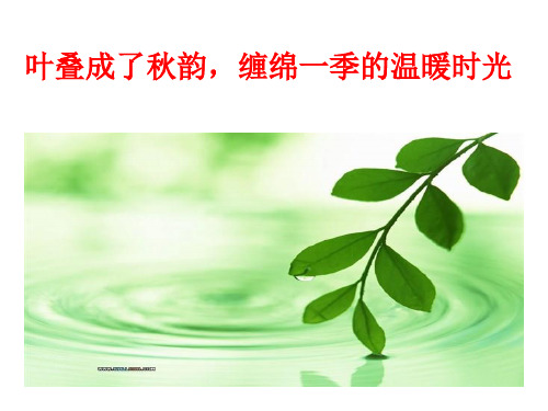 种颗太阳在心里