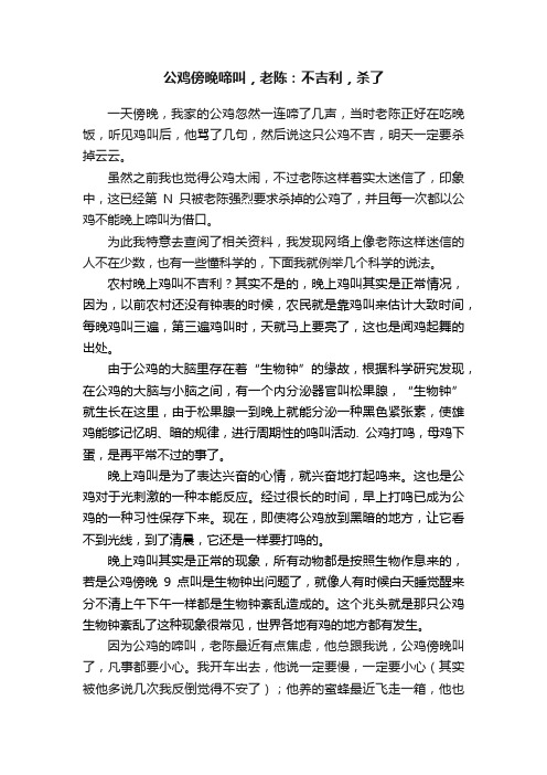 公鸡傍晚啼叫，老陈：不吉利，杀了