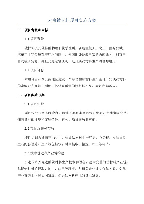 云南钛材料项目实施方案