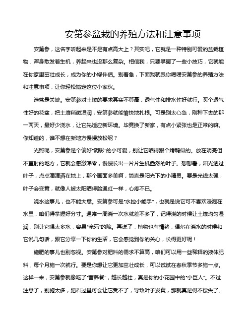 安第参盆栽的养殖方法和注意事项