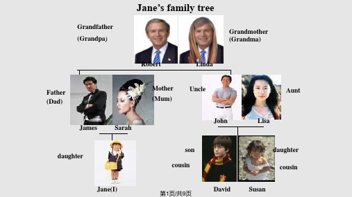 家谱familytreePPT课件