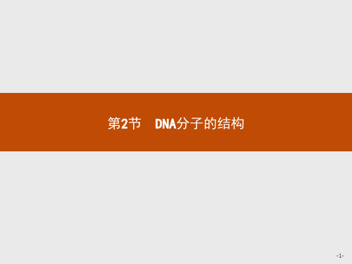 人教版高中生物学必修2精品课件 第3章 第2节 DNA分子的结构