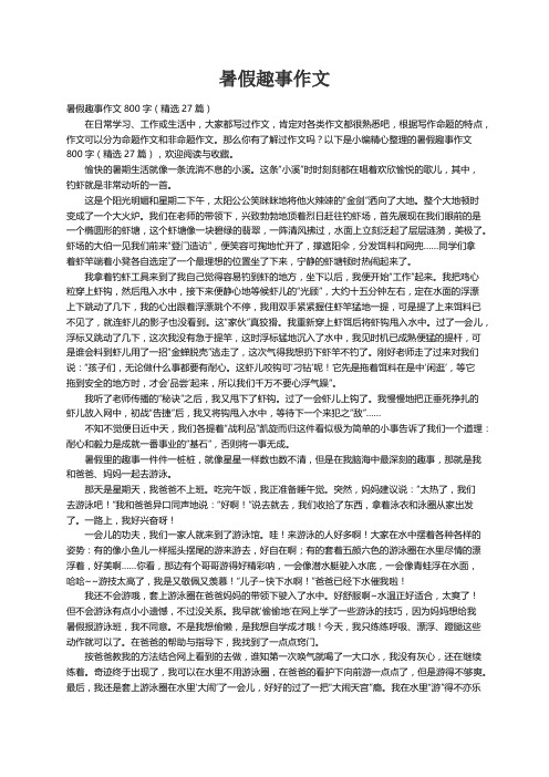 暑假趣事作文800字（精选27篇）