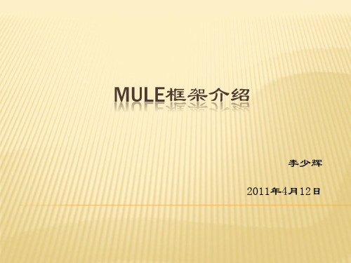 MULE开发.pptx