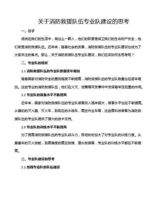 关于消防救援队伍专业队建设的思考