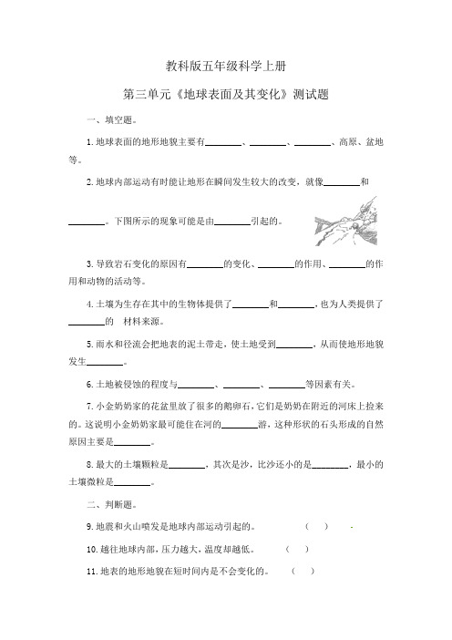 教科版五年级级科学上册第三单元《地球表面及其变化》测试题(含解析答案)