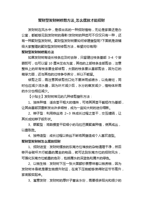 聚财型发财树修剪方法_怎么摆放才能招财