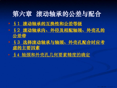 第六章滚动轴承公差与配合.ppt