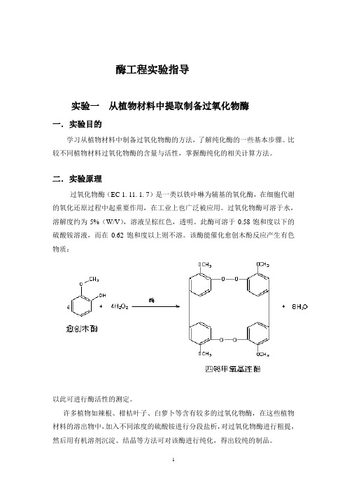 酶工程实验doc