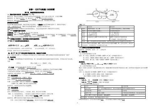 潍坊一中学案必修一第五章知识点细胞的能量供应和利用