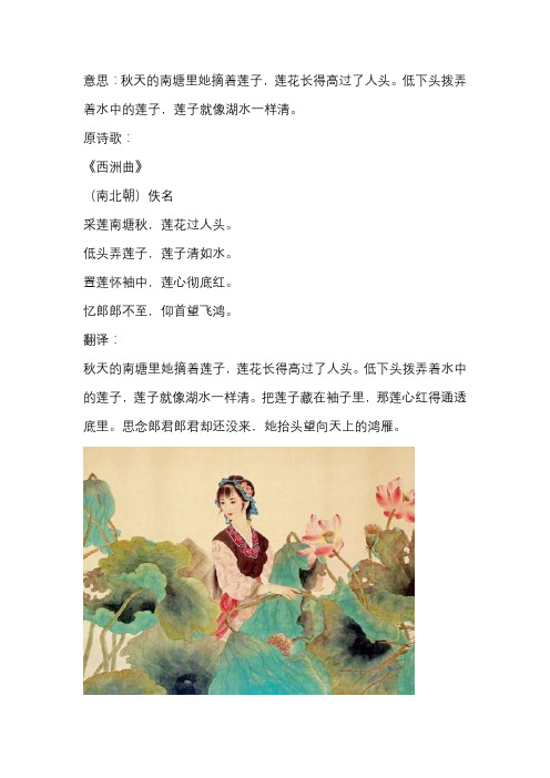 采莲南塘秋,莲花过人头,低头弄莲子,莲子清如水翻译