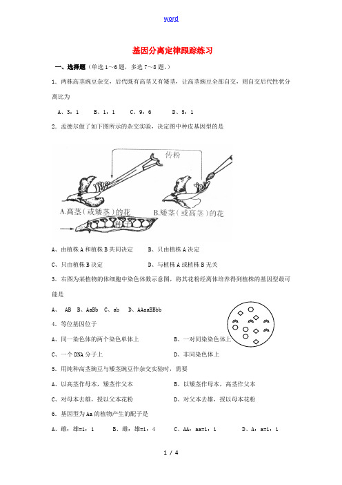 高中生物 基因分离定律跟踪练习