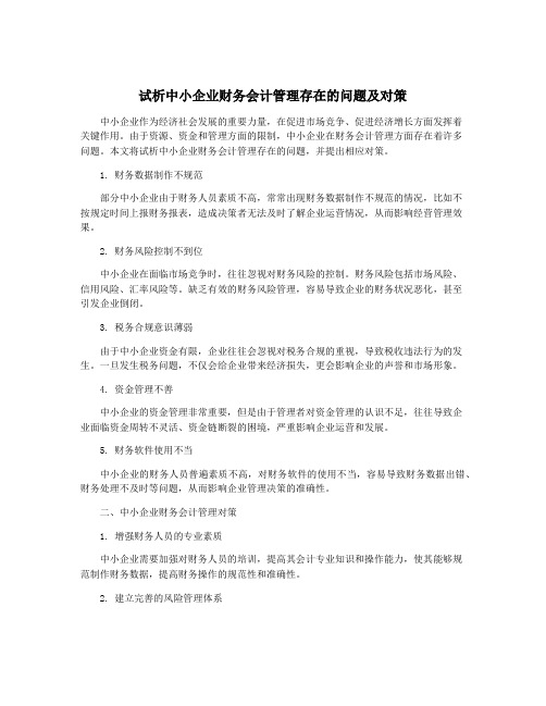 试析中小企业财务会计管理存在的问题及对策